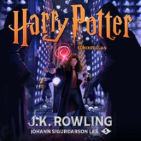 Harry_Potter_og_F__nixreglan